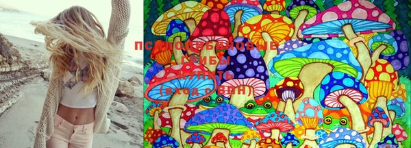 MDMA Кукмор